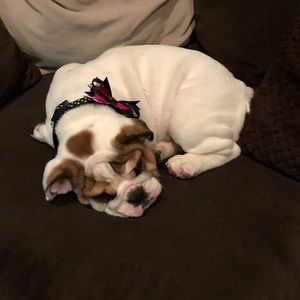 Meet your Posher, Brett